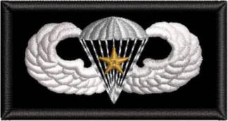 Paratrooper Gold Star 2 Badge Patch